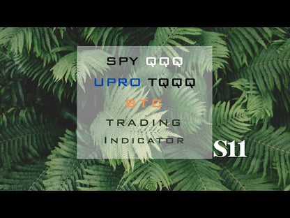 S11